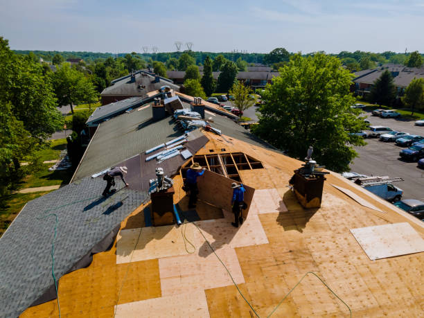 Best Flat Roof Repair Services  in Kingston, RI